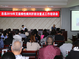 说明: 图片1