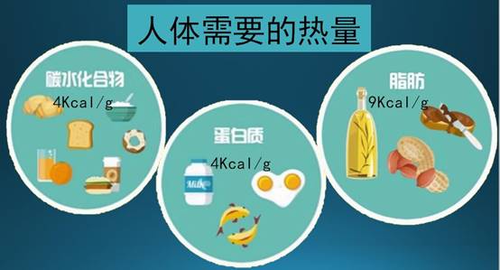说明: E:\liying评价\2018\中心网页2018\微信\卡路里\QQ截图20180711154742.jpg