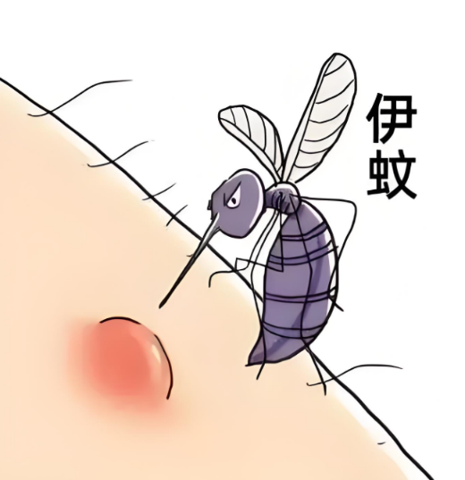 11.png