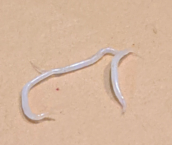 1758191879131414.png 1758191879131414.png