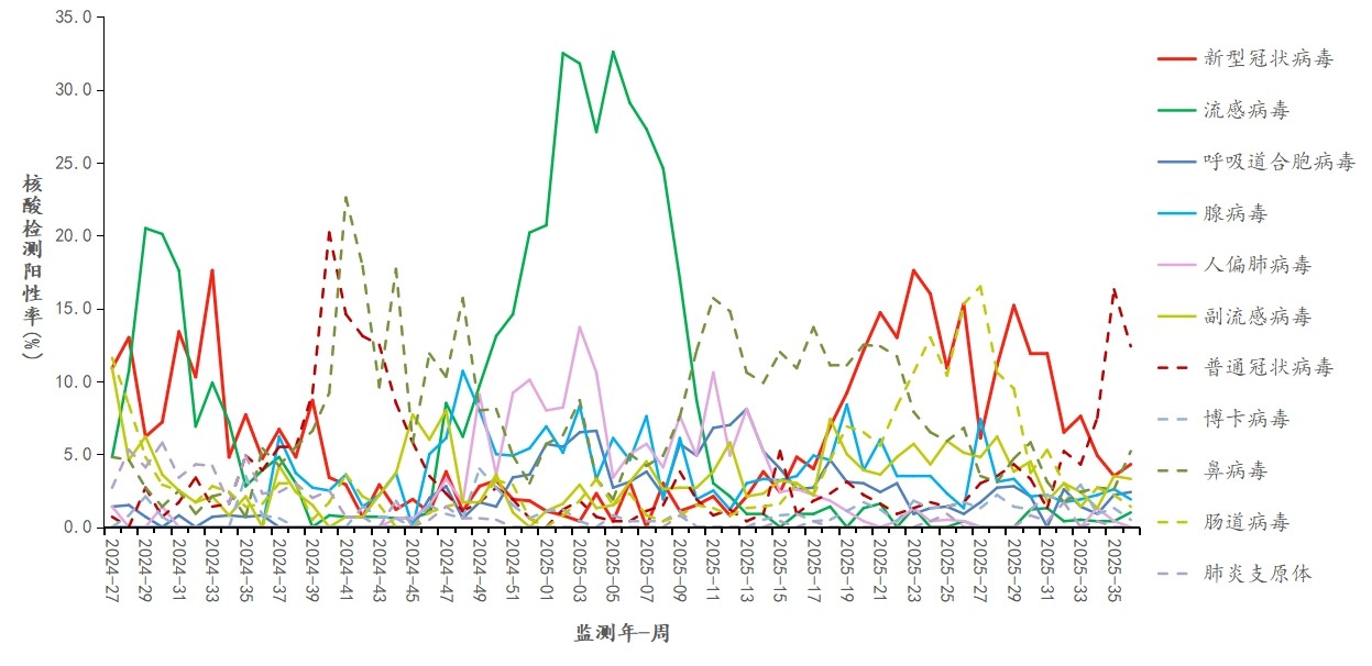 1758601723133940.jpg 13.jpg