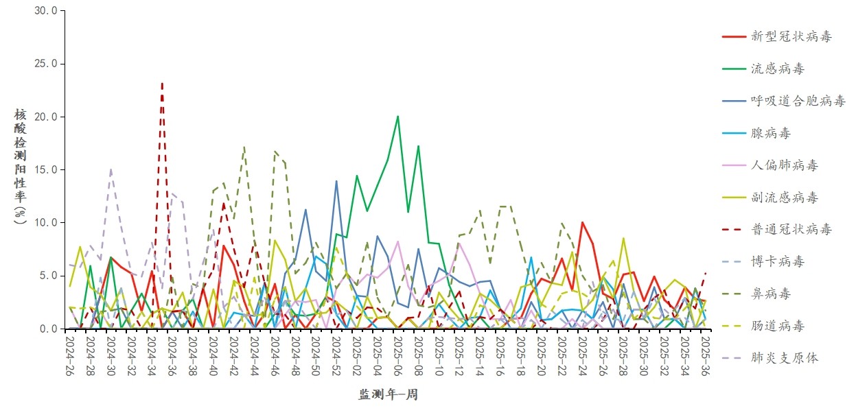 1758601749432985.jpg 14.jpg