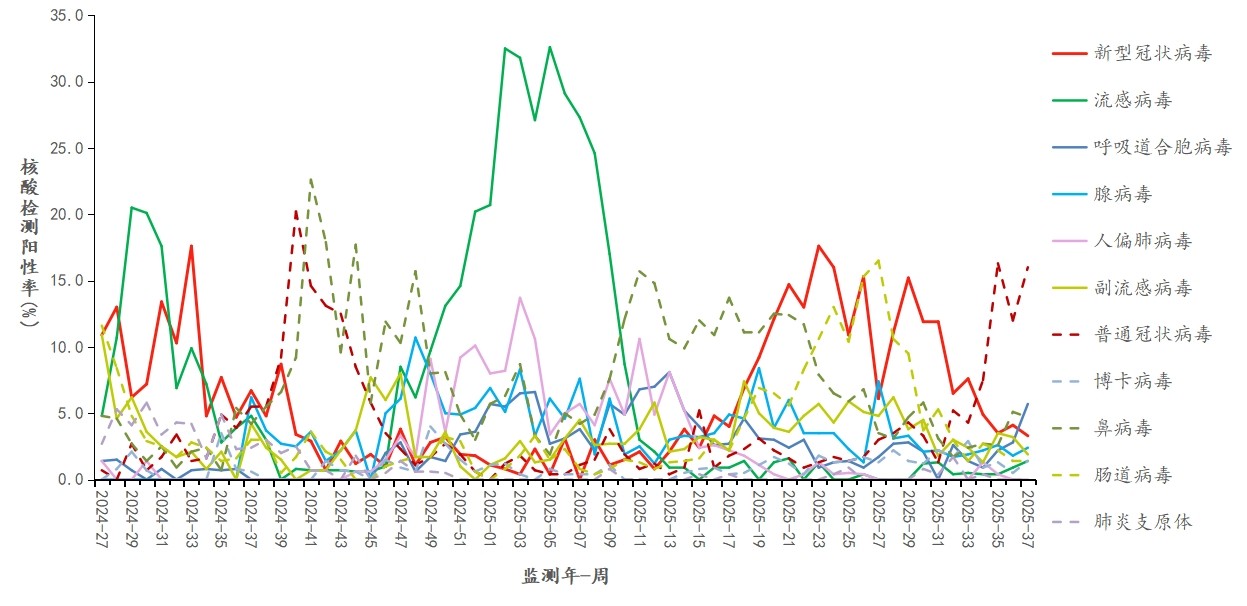 1758602063810460.jpg 1758602063810460.jpg