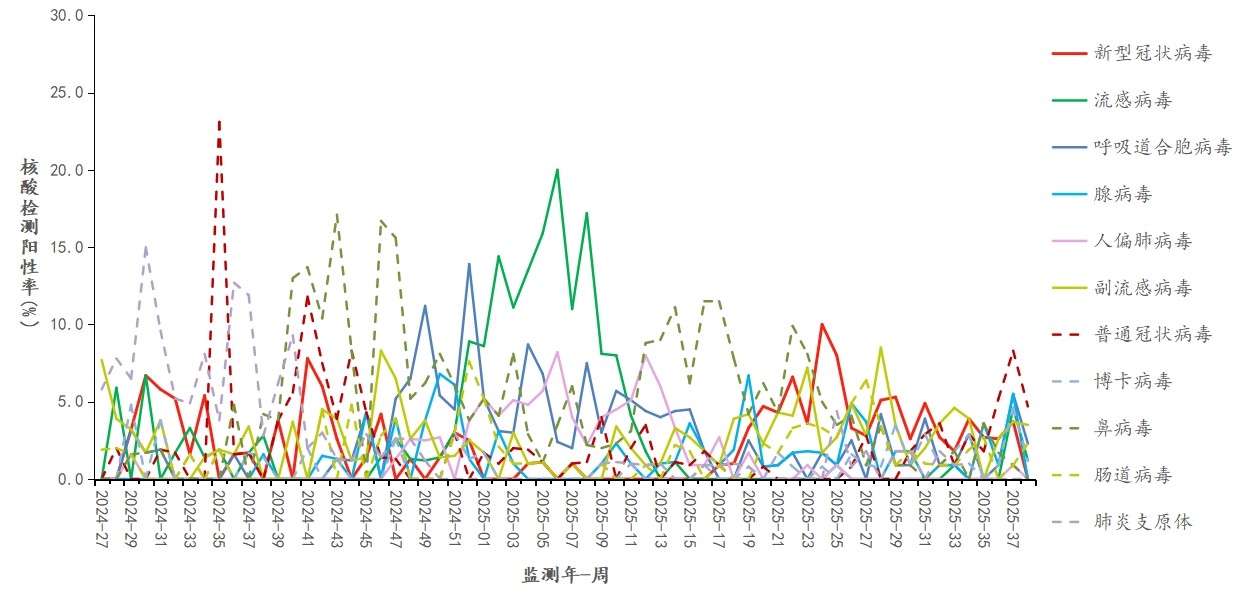 1760002540133863.jpg 1760002540133863.jpg