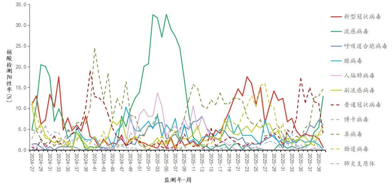 1760163781125966.jpg 1760163781125966.jpg