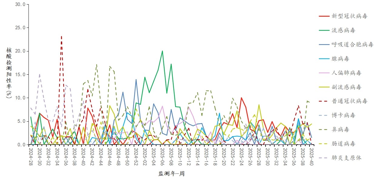 1760163803131070.jpg 1760163803131070.jpg