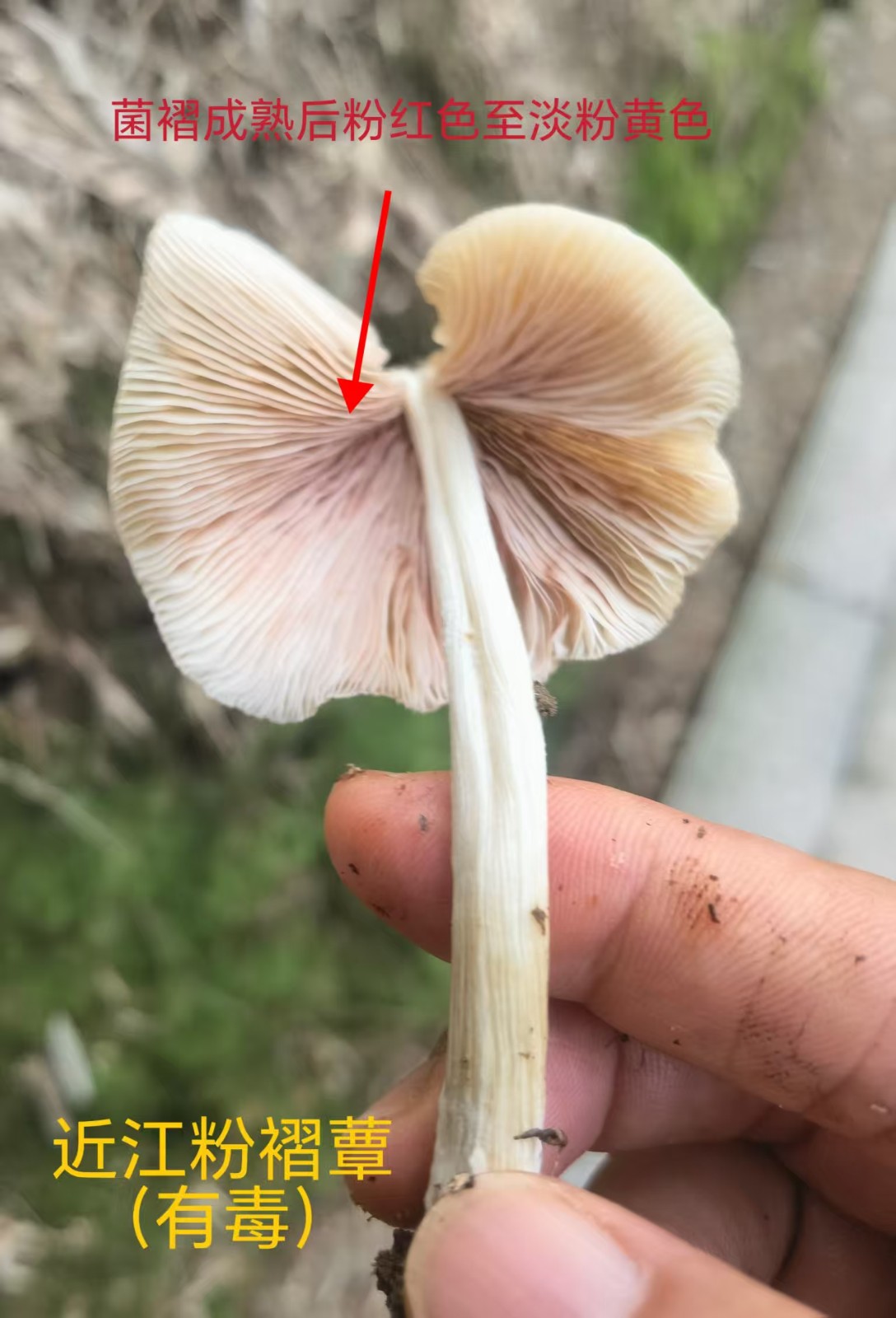 1760938488101705.jpg 1760938488101705.jpg