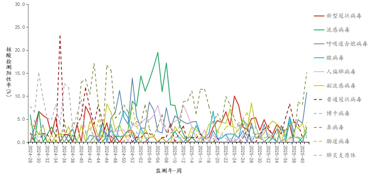 1761024633380357.jpg 14.jpg