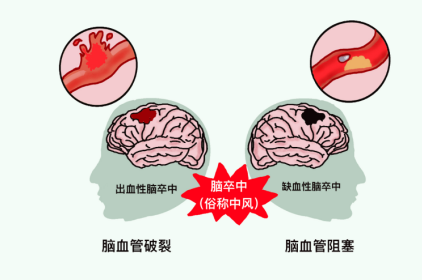 1762248115110040.png image.png