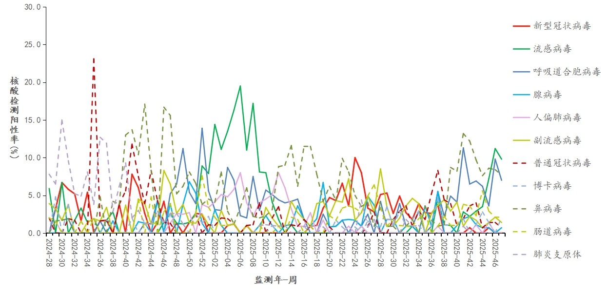 1764555832156033.jpg 1764555832156033.jpg