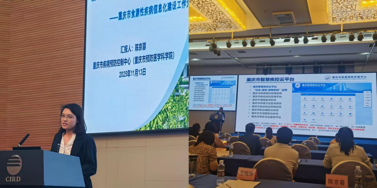 1765353484560230.jpg 1.jpg