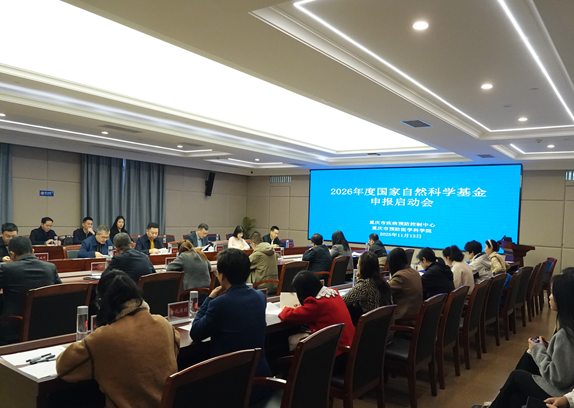 1765506275394343.png image.png