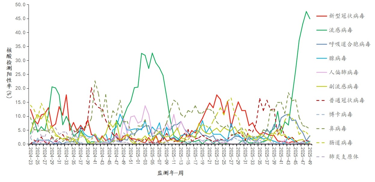 1765695095202507.jpg 1765695095202507.jpg