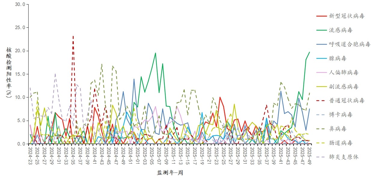 1765695119475027.jpg 1765695119475027.jpg