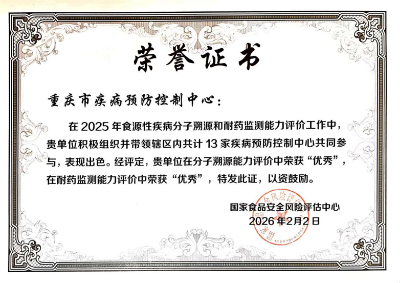 1772586537530840.png image.png