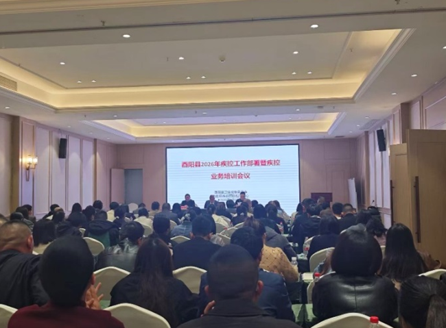 QQ截图20260511110538.png