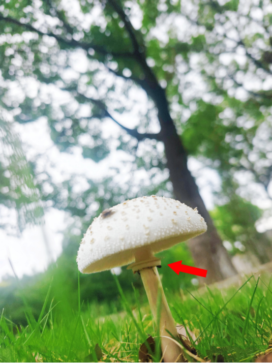 1789957109439010.png image.png
